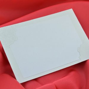 1029-110L-vassi