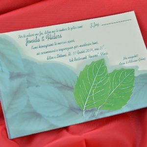 1040-100L-vassi