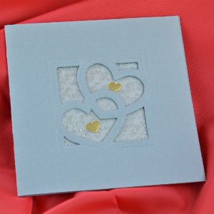 1045-120L-vassi